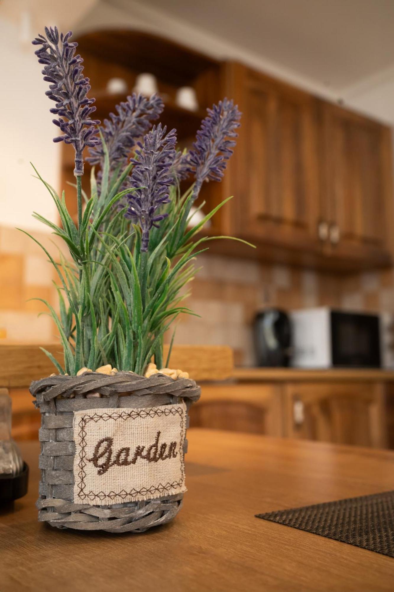 Szenti Vendeghaz Bed & Breakfast Gyor Bagian luar foto